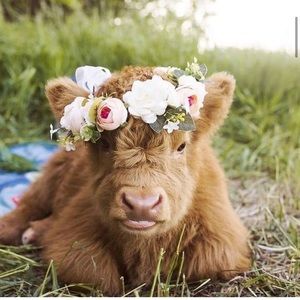 Meet your Posher, Emmalee